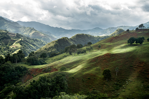 Green mountains and hills with trees and grass high in the Caribbean mountains.