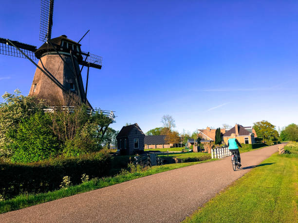 istock Active Senior Cyclist on Country Lane in Springtime, Windmill 1293803694