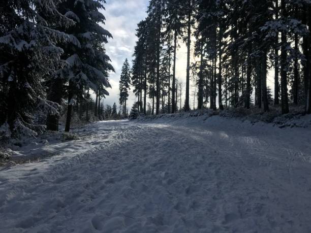 istock Wonderful snowy landscape 1293804724