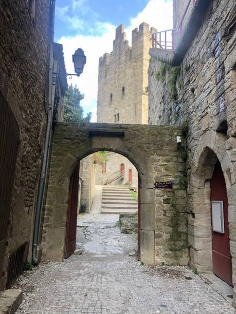 istock Medieval French city at Carcassonne 1293805589