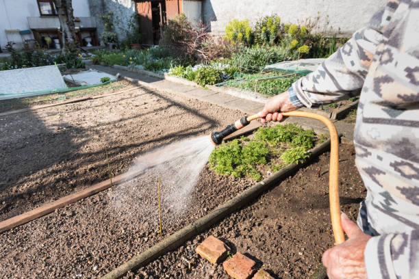 istock Senior Man Watering the Garden in Springtime 1293805678