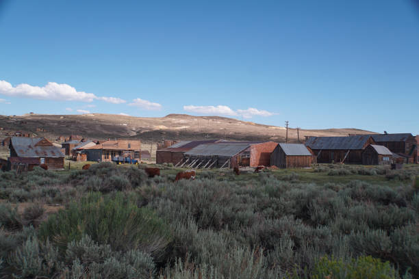 istock Bodie ghost town buildings 1293806273