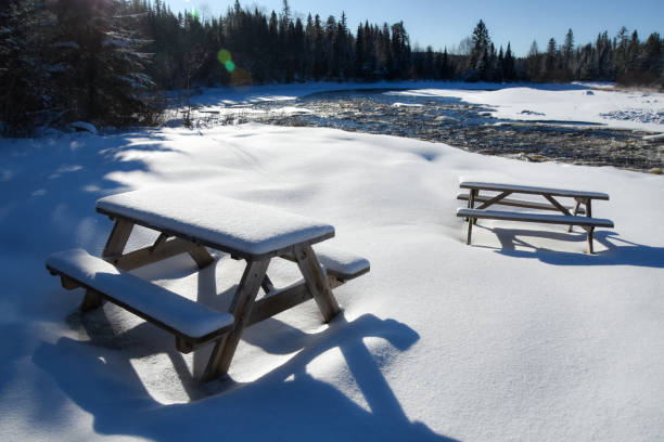 istock Place for picnic in a park awaiting spring and its guests 1293806415
