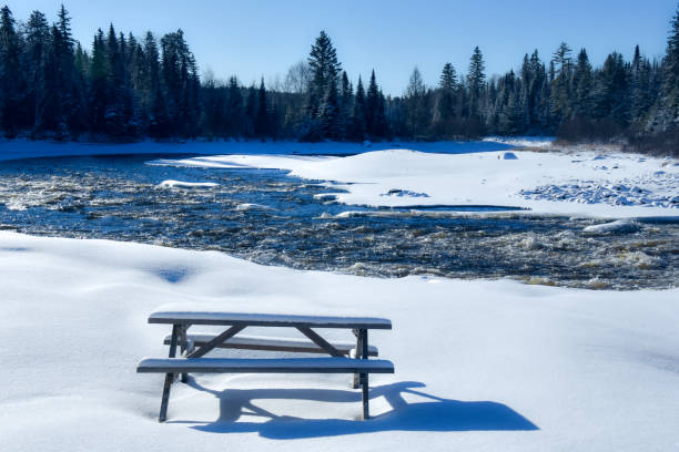 istock Place for picnic in a park awaiting spring and its guests 1293807095