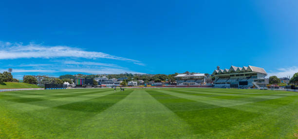 boisko do krykieta rezerwy basin w wellington - oval cricket ground zdjęcia i obrazy z banku zdjęć