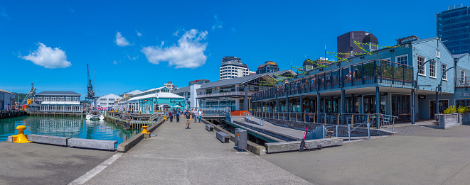 Young woman looking at Auckland city skyline of city center and Auckland Sky Tower in New Zealand.