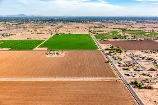 Irrigated farms growing crops in the Arizona desert in Mesa, Arizona, located just outside of Phoenix.