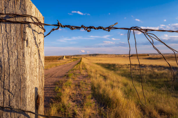 istock Close up of an old, broken fence post 1293813936