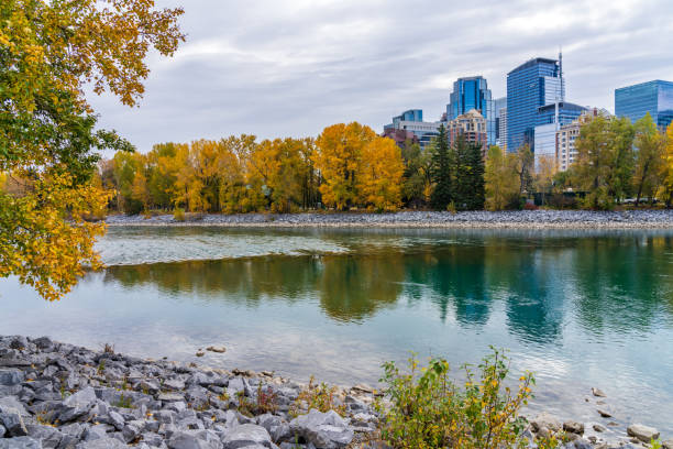 istock Prince's Island Park autumn foliage scenery. Bow river bank 1293814881