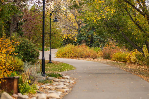 istock Prince's Island Park autumn foliage scenery in downtown Calgary 1293814883