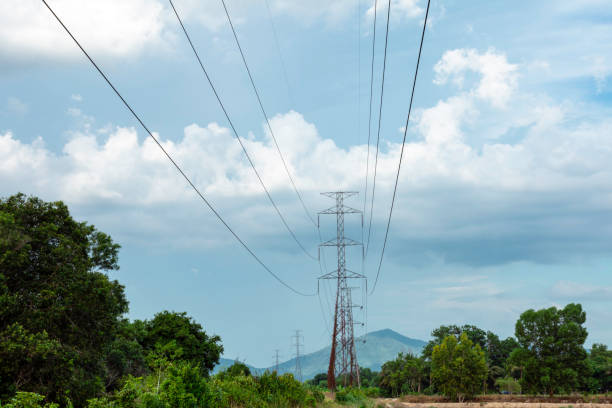 istock Electricity transmission line with green tree nature 1293826131