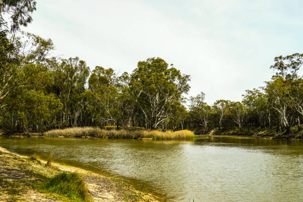 istock Deniliquin, New South Wales, Australia 1293827449