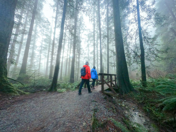 madura, pareja multiétnica de senderismo de invierno a través de la selva tropical húmeda de la costa oeste - mt seymour provincial park fotografías e imágenes de stock