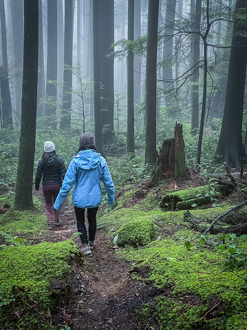 Mature mother and young adult daughter enjoying winter walk through wet forest on Mount Seymour, North Vancouver, British Columbia, Canada