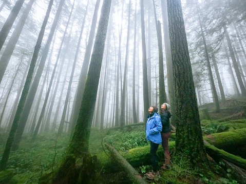 Mature mother and young adult daughter enjoying winter walk through wet forest on Mount Seymour, North Vancouver, British Columbia, Canada