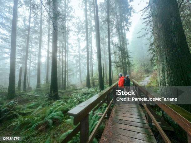 Mature Father And Multiethnic Daughter Enjoying Misty Forest From Bridge Stock Photo - Download Image Now
