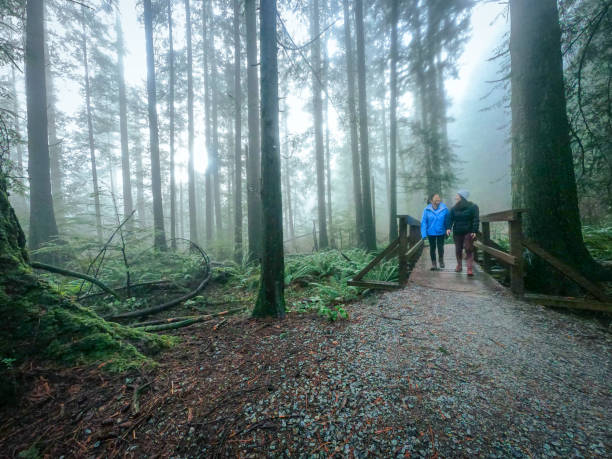 madre asiática e hija euroasiática senderismo en el puente del bosque de misty - mt seymour provincial park fotografías e imágenes de stock