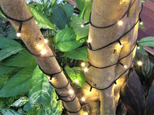 istock Japan. December. Christmas decoration. 1293849178