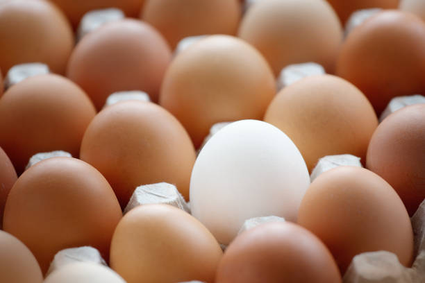 A white chicken egg among many yellow eggs lies on a cardboard box. A special egg, different from the others.
