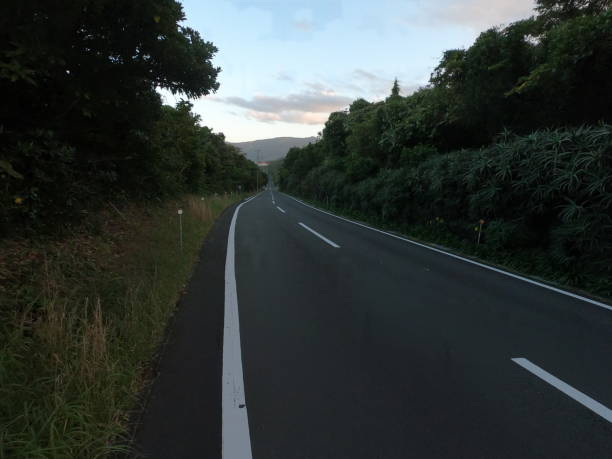 istock The road at Hachijo-jima island 1293854317