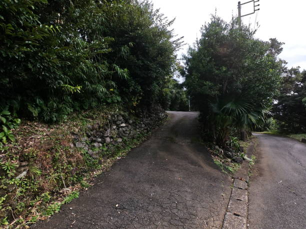 istock The road at Hachijo-jima island 1293854966