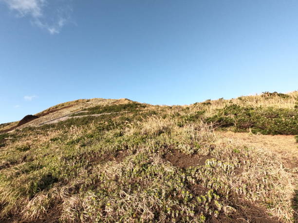 istock The view of the black sand dunes 1293855143