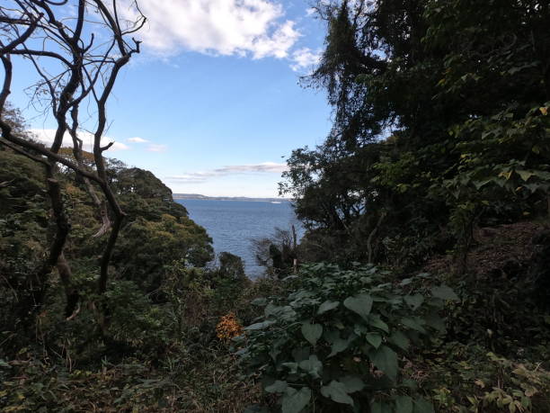 istock The view of the coast 1293855591