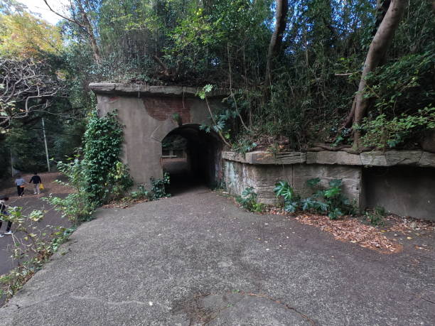 istock The ruin in Miura peninsula 1293855596
