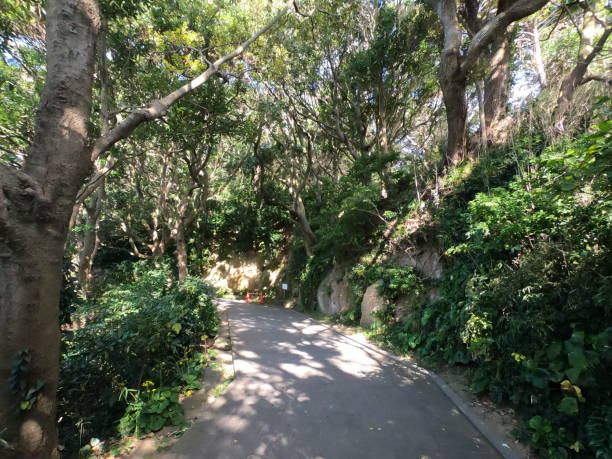 istock The view of Sarushima island 1293856321
