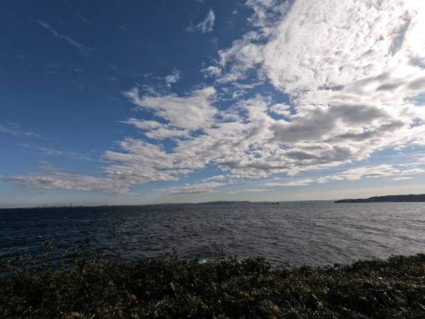 istock The coast view of Sarushima island 1293856543