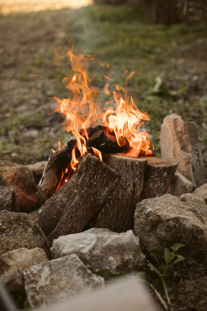 istock Bonfire in the forest. Campfire background. Fire flames with sparks and smoke. Campfire fire in the forest. 1293859438