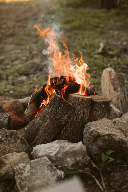 istock Bonfire in the forest. Campfire background. Fire flames with sparks and smoke. Campfire fire in the forest. 1293859645