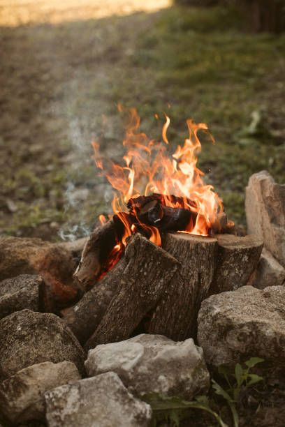 istock Bonfire in the forest. Campfire background. Fire flames with sparks and smoke. Campfire fire in the forest. 1293859647