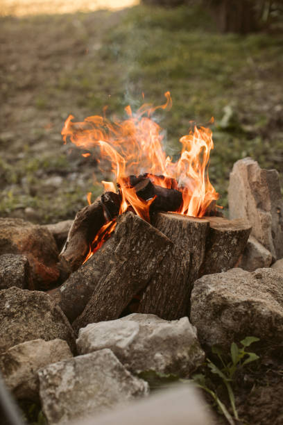 istock Bonfire in the forest. Campfire background. Fire flames with sparks and smoke. Campfire fire in the forest. 1293859736