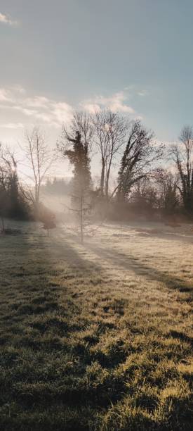 istock wild nature one morning in Normandy 1293859820
