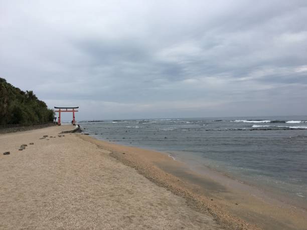 istock The beach of Aoshima island 1293859918