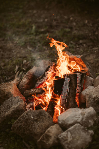 istock Bonfire in the forest. Campfire background. Fire flames with sparks and smoke. Campfire fire in the forest. 1293860566