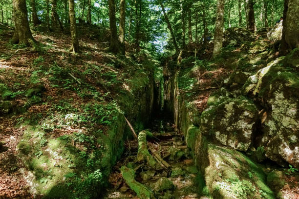 istock old beaten canyon through rocks in the mountains 1293860662