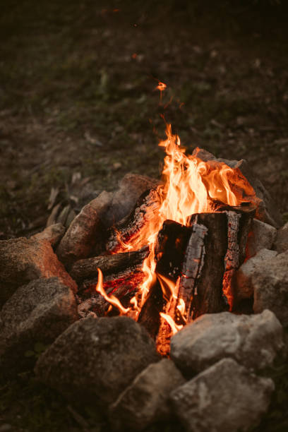 istock Bonfire in the forest. Campfire background. Fire flames with sparks and smoke. Campfire fire in the forest. 1293860746
