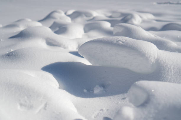 istock Snowdrift with green light. Snow background. Perfect snow surface in winter. Shiny white snow. Winter dunes 1293862837