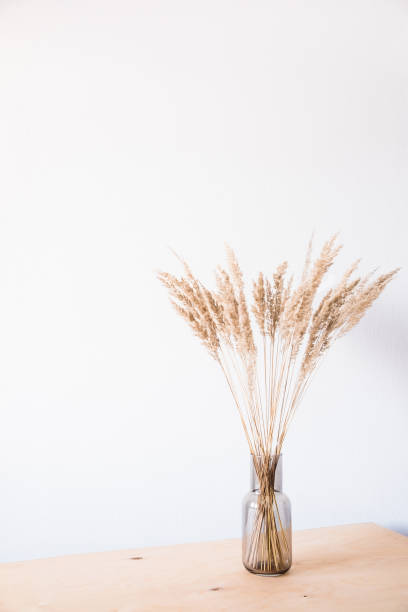 istock Dried flowers in a glass vase with an empty light wall for minimalist decor. 1293864492