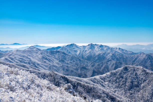 Snow photograph taken in Deokyusan, Sucheon-myeon, Muju-gun, Jeonbuk
