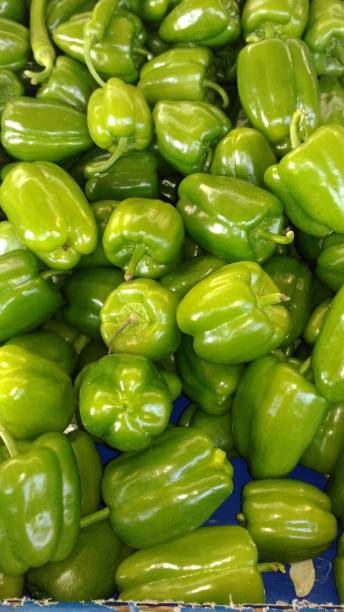 istock natural fresh green colored bell pepper 1293867051