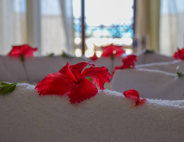 płatki hibiskusa na łóżku z pięknym widokiem na morze w tle - flower gift decoration domestic room zdjęcia i obrazy z banku zdjęć