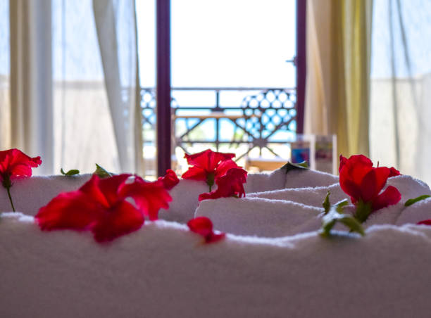 płatki hibiskusa na łóżku z pięknym widokiem na morze w tle - flower gift decoration domestic room zdjęcia i obrazy z banku zdjęć