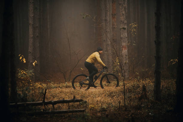 istock Young man biking through autumn forest 1293871466