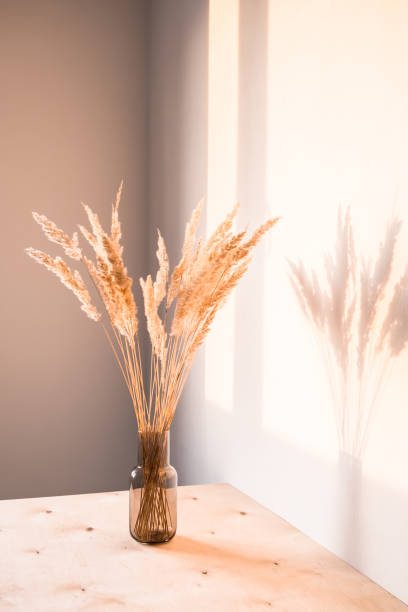 istock Dried flowers wiht shadows against a light wall in a minimalist style. 1293871663