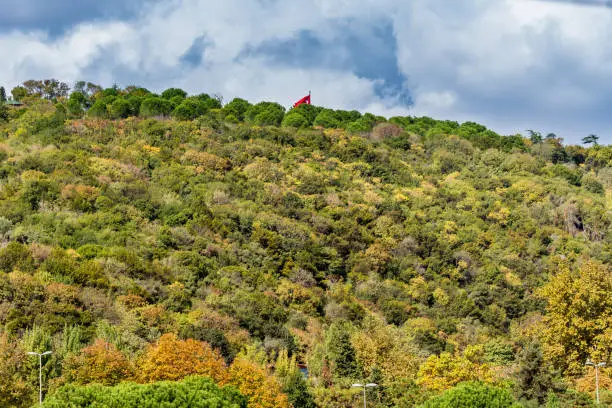 Beautiful Turkish national flag and green forest in summer at the costline and hillslope at Bosphorus Strait in Istanbul,Turkey. View from a Cruise Ship.