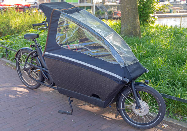 istock Family Bicycle Cabin Cover 1293874523