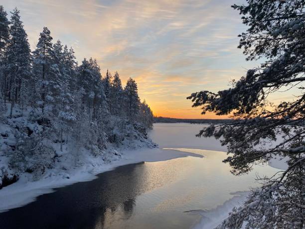 istock Oulanka national park waterfront 1293875400